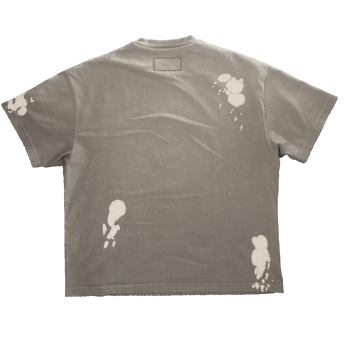 grau hinten